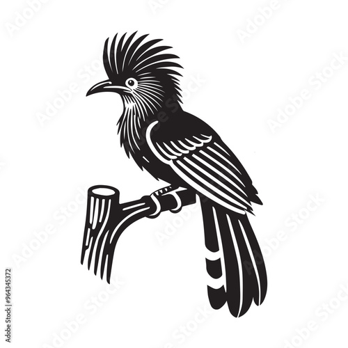 Hoatzin  Bird Silhouette Clipart - bird logo design photo