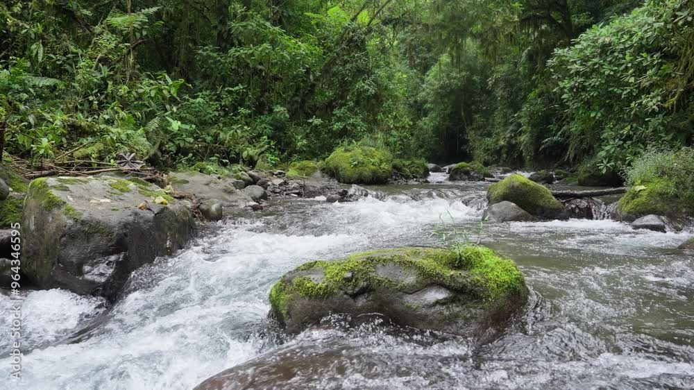 Corriente de río en camara lenta, rodeado de mucha vegetacion en un dia nublado de invierno en el bosque tropical en la montaña de Costa Rica