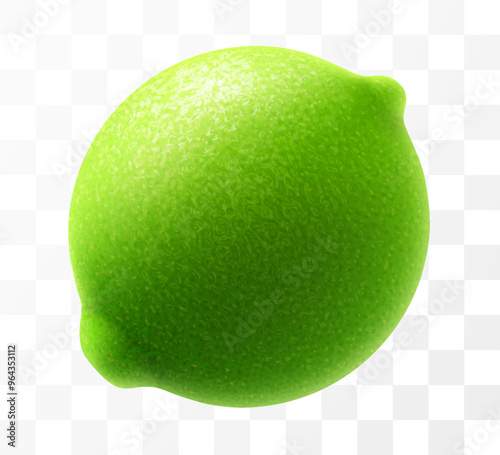 Green ripe raw lime isolated on transparent background. Whole lime fruit, vibrant tropical plant, its textured shiny skin concealing zesty citric pulp within. Realistic 3d vector illustration.