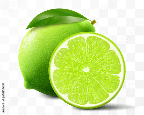 Green lime isolated on transparent background. Whole lime and slice of fruit, vibrant tropical plant, its textured shiny skin concealing zesty citric pulp within. Realistic 3d vector illustration.