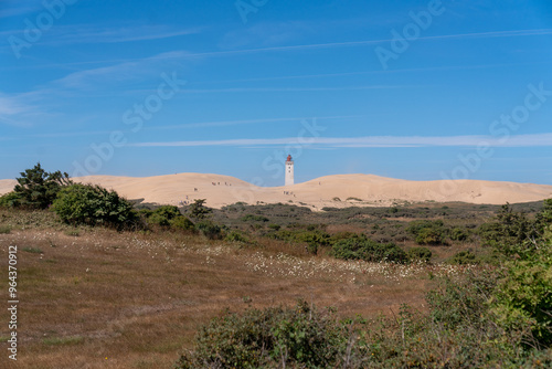 sand dunes and beach in denmark