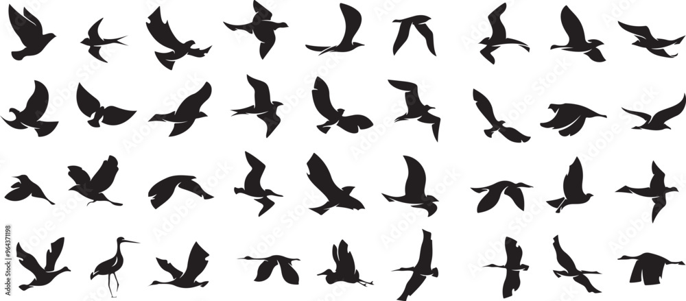 set of silhouettes of black shadow bird set of silhouettes of black shadow bird