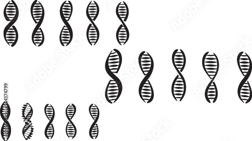 Curved Double Helix Artistic Silhouette Elements in Black