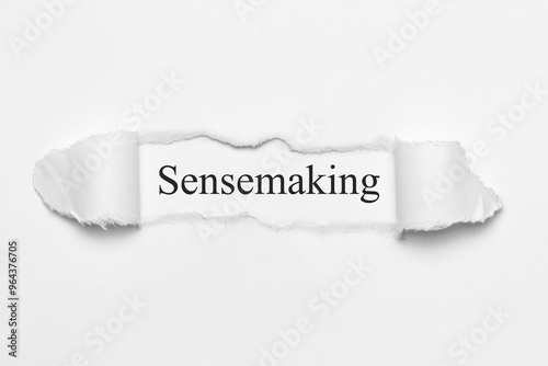 Sensemaking photo