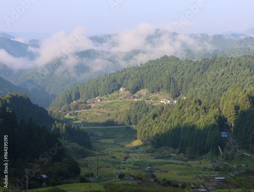 四谷千枚田、夏の早朝の風景