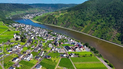 Aerial drone view of vineyard terraces. Mosel Valley wine region Germany. High quality 4k footage photo