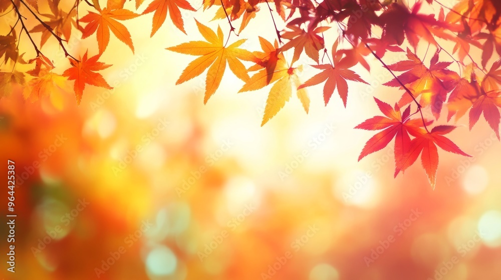 Autumn maple leaves glow against nature's backdrop Autumn maple leaves glow against nature's backdrop