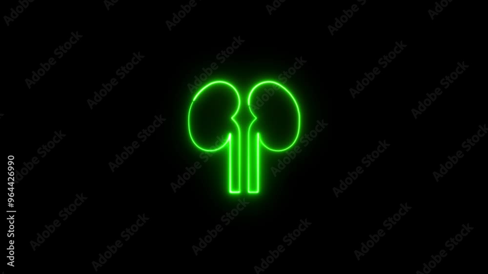 The appearance of neon symbol kidneys. Elements of Medicine in neon style icons. 4k. Neon human kidneys icon in line style. neon line kidneys icon , The appearance of neon symbol kidneys. Elements of Medicine in neon style icons. 4k. Neon human kidneys icon in line style. neon line kidneys icon ,