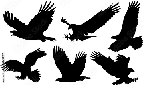 Animals eagle hawk bird fly swoop attack silhouette set collection on white background vector