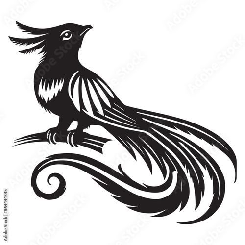 Bird Clipart - Resplendent quetzal Silhouette - Resplendent Quetzal Bird Vector Illustration in black and white 