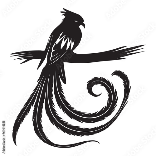 Bird Clipart - Resplendent quetzal Silhouette - Resplendent Quetzal Bird Vector Illustration in black and white 