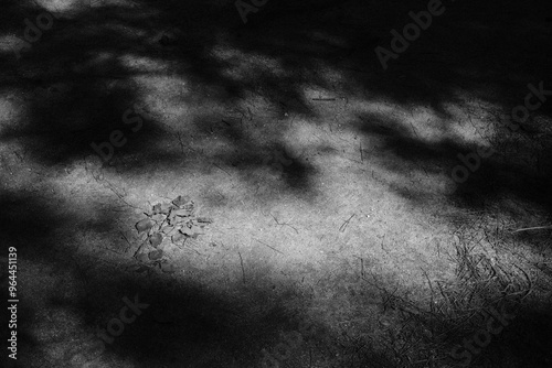paper texture