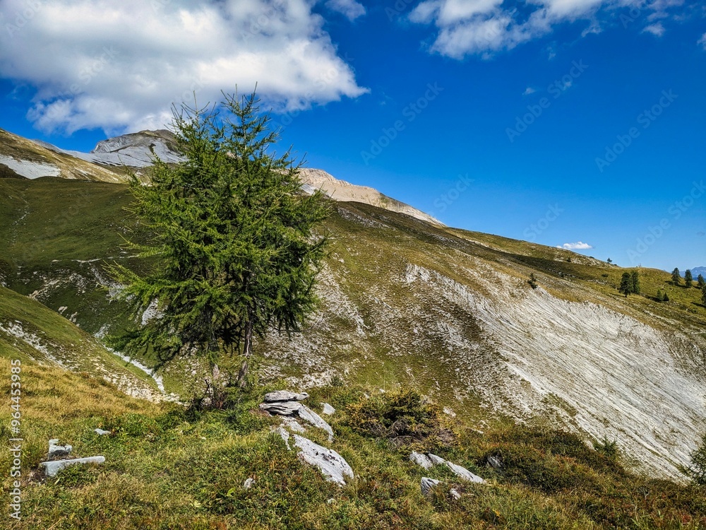 Fototapeta premium Beautiful hiking area around the Haldensteiner Calanda, Untervaz. Fantastic mountain panorama in the Alps. Wanderlust in Switzerland. Summertime. High quality photo