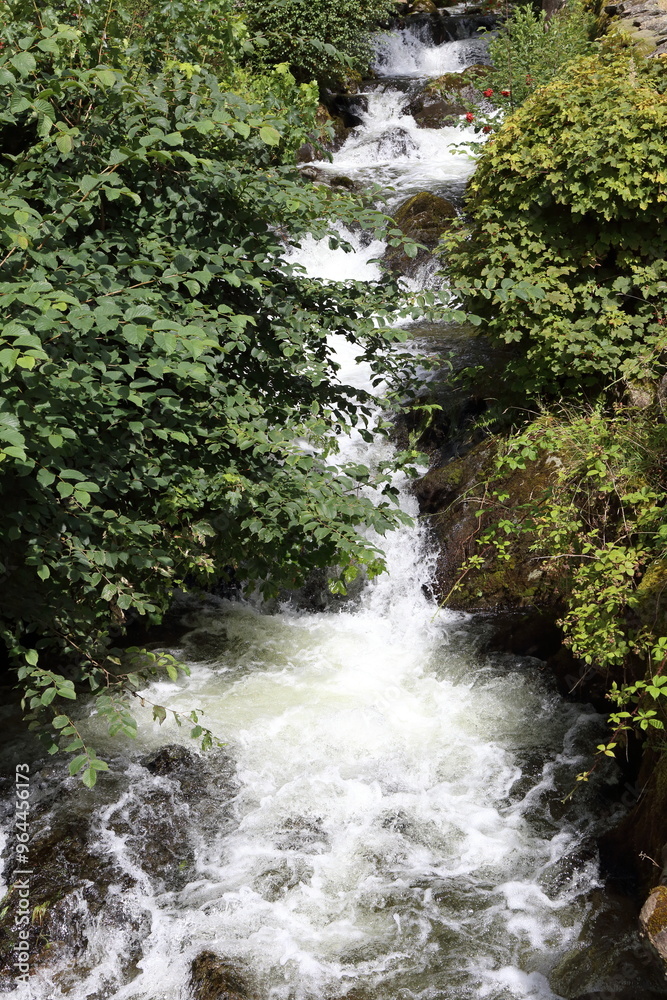 Fast Flowing Mountain Stream with white water. Thick vegetation lines the steep banks. Fast Flowing Mountain Stream with white water. Thick vegetation lines the steep banks.
