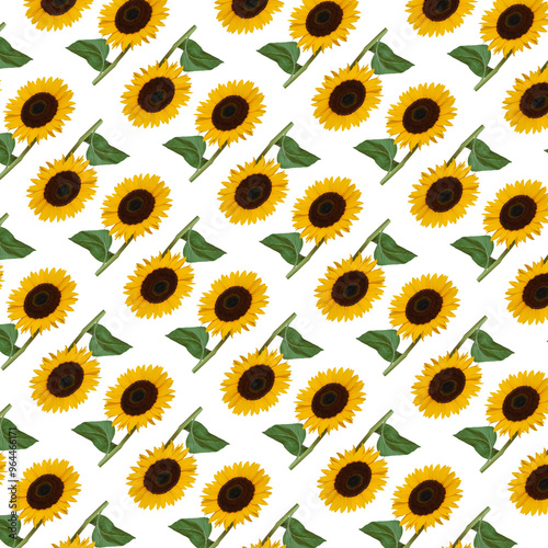 Sunflower with yellow petals and a dark center pattern.
