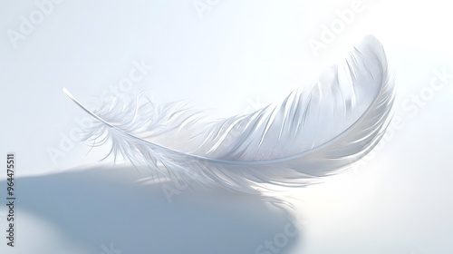 CG Floating Feather: A delicate, CG-rendered feather floating gracefully on a white background, casting a soft shadow. 