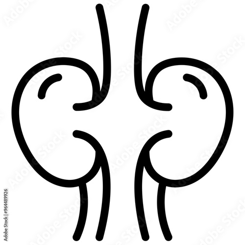 Kidney Icon. Medical or Healthcare theme symbol