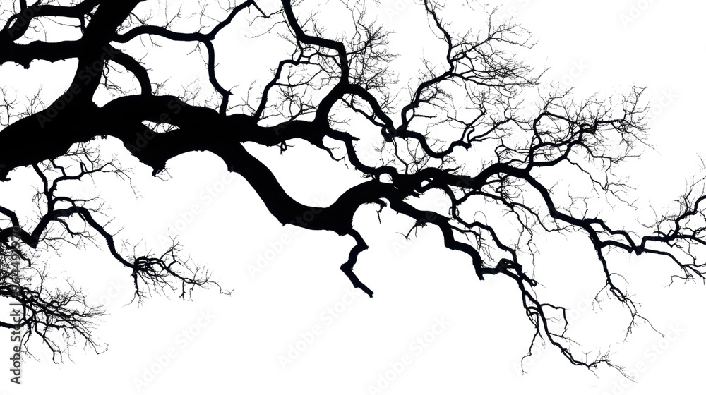 Mystical Silhouette of an Eerie Tree with Curly Branches on White Background Mystical Silhouette of an Eerie Tree with Curly Branches on White Background