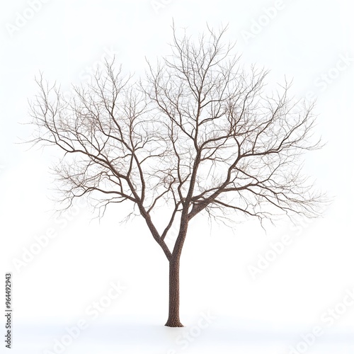 tree with snow