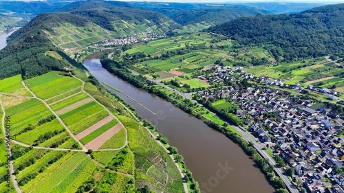 Aerial drone view of vineyard terraces. Mosel Valley wine region Germany. High quality 4k footage photo