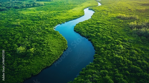 Aerial View of a Winding River Through Lush Green Forest