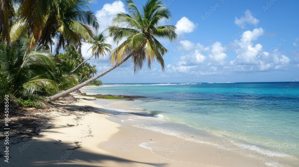 Tranquil Paradise - Remote Beach with Palm Trees and Azure Waters Tranquil Paradise - Remote Beach with Palm Trees and Azure Waters
