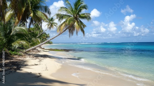 Tranquil Paradise - Remote Beach with Palm Trees and Azure Waters