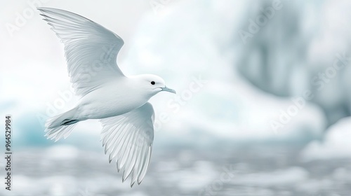 A close-up of a snow petrel flying over the icy waters of Antarctica, with its white feathers blending into the landscape. photo