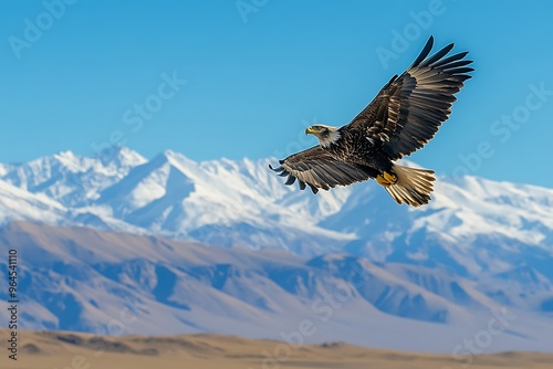 american bald eagle