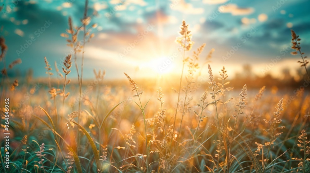 Tall golden grasses sway gently in the breeze during sunset, creating a serene and dreamy landscape with soft, warm light.. Tall golden grasses sway gently in the breeze during sunset, creating a serene and dreamy landscape with soft, warm light..