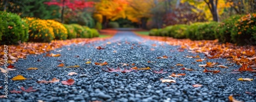 Autumn leaves on a gravel driveway photo