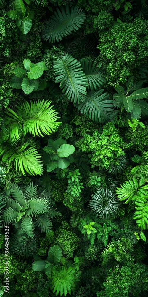 Aerial view of lush, vibrant green tropical rainforest foliage. Aerial view of lush, vibrant green tropical rainforest foliage.