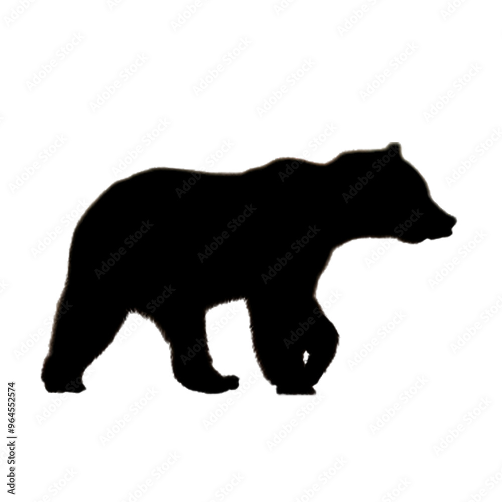 Fototapeta premium Bear Clipart | Hand Drawn Bear | Bear Illustration