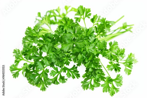 A fresh Parsley isolated on white