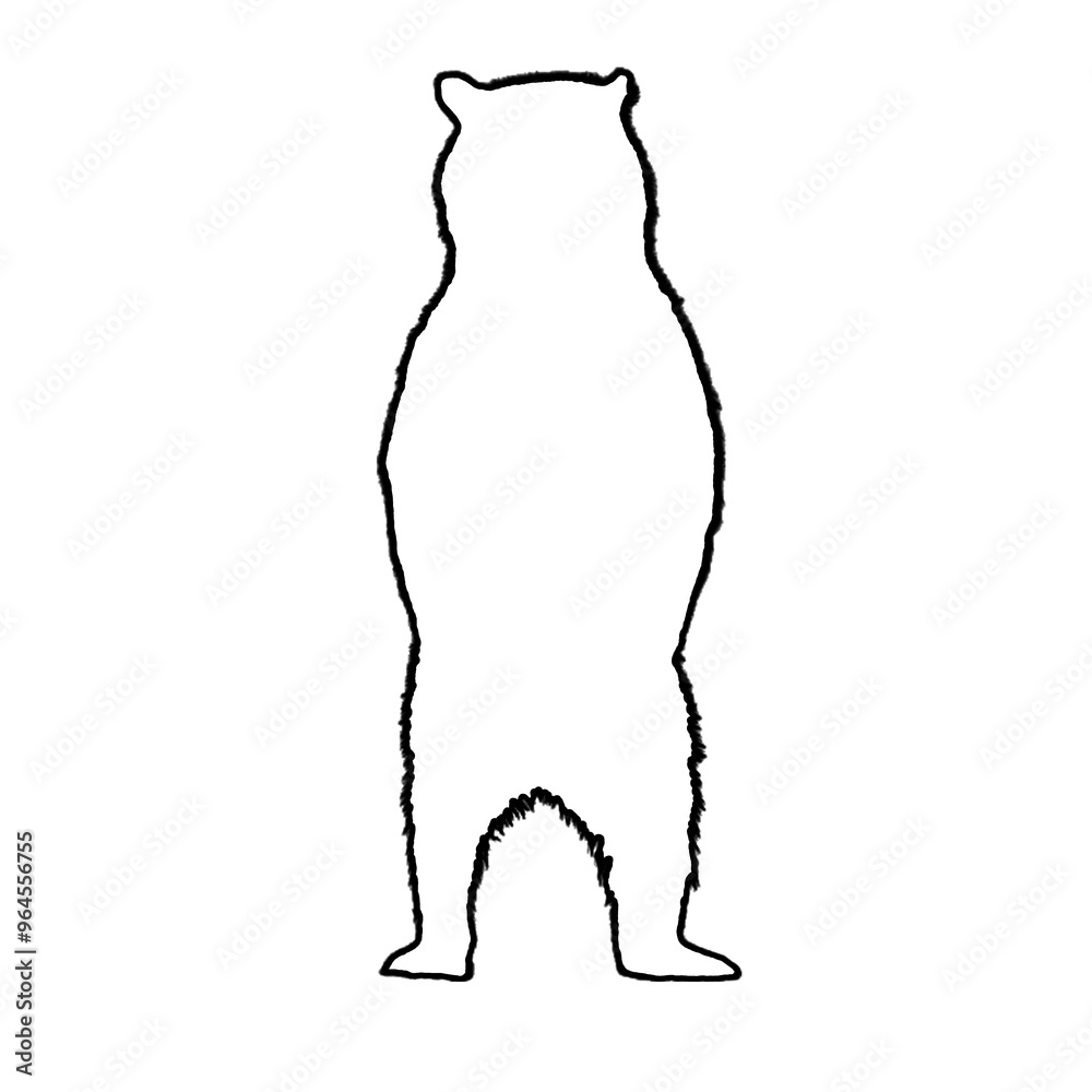 Bear Drawing | Bear Outline | Hand Drawn Bear