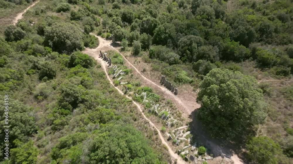 Aerial view pulling back above the Menhirs of Palaggiu, a large group of prehistoric standing stones in the south of the island of Corsica Aerial view pulling back above the Menhirs of Palaggiu, a large group of prehistoric standing stones in the south of the island of Corsica