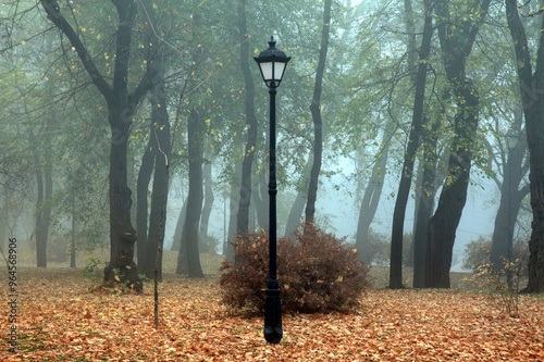 Autumn city park and single ancient lantern among yellowed leaves. Late autumn time. An old park, covered with fallen foliage. Sad foggy season. Fall time and foggy morning in ancient city park