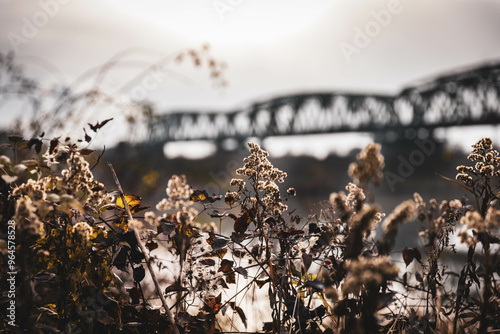 autumn vibes