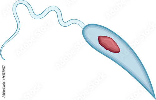 Leishmania Parasite Illustration Isolated on White Background