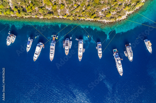 Fototapeta Naklejka Na Ścianę i Meble -  Paradise Bay (Turkish: Cennet Koyu) in Bodrum. Mugla, Turkey. One of the most beautiful bays in Bodrum with blue sea and nature. Drone shot.