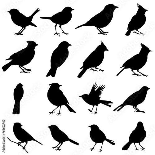 set of silhouettes of birds Vector silhouette