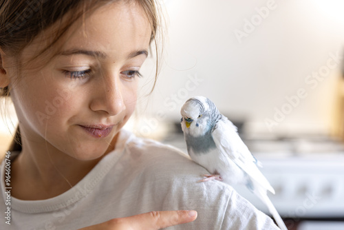 Foto A beautiful little girl is playing with a white and blue budgie