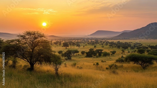 The rolling hills of Kruger National Park, with acacia trees scattered across the landscape and the sun setting in the distance.