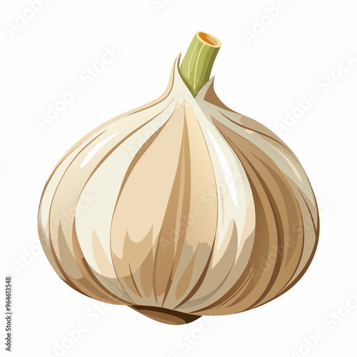 garlic isolated on white background