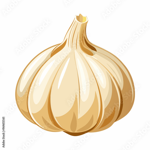 garlic isolated on white background