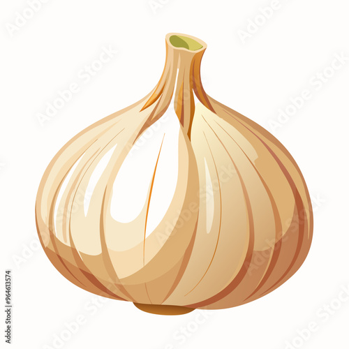 garlic isolated on white background