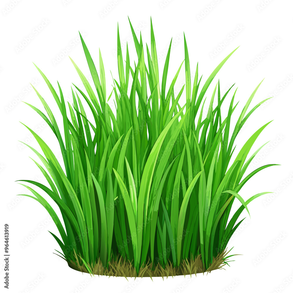 green grass isolated on white
