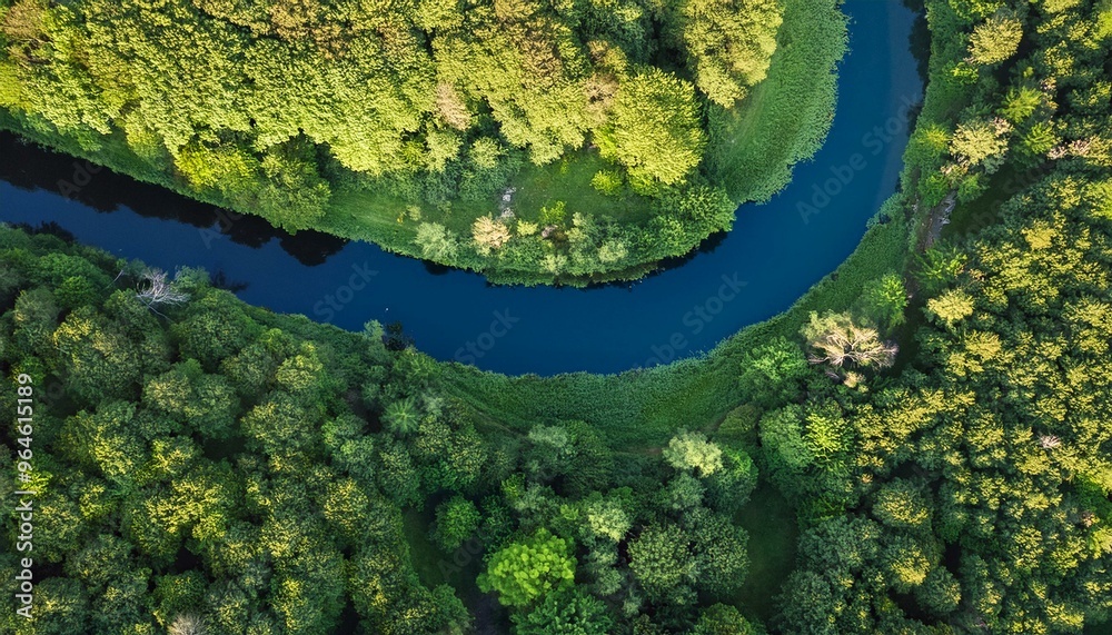 meandering river in forest flat top view, AI generated meandering river in forest flat top view, AI generated