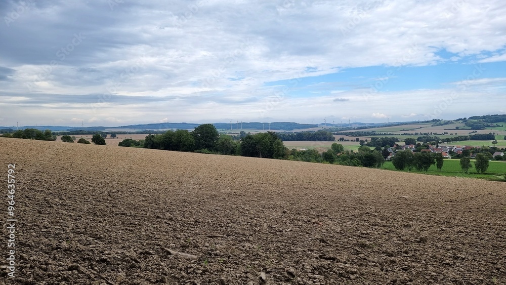 landscape with a field and trees landscape with a field and trees