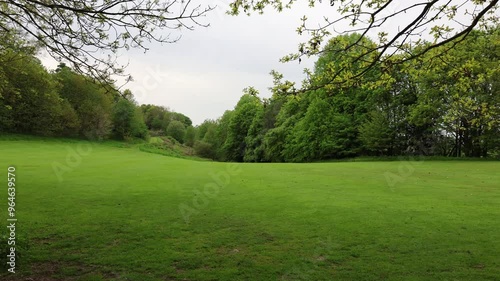Static View Of A Green Lawn With Mowed Grass Surrounded By Trees